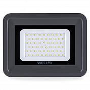   Wolta WFL-50W/06  5500K 50  SMD IP 65 4250 